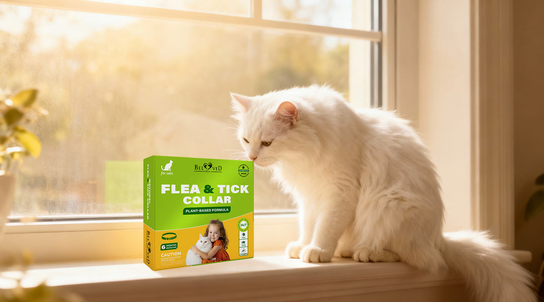 How Natural Flea & Tick Collars for Cats Work — and How Essential Oils Repel Pests