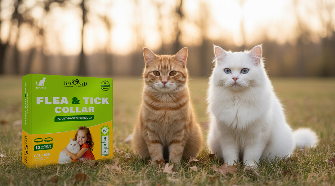 Why Natural Flea & Tick Collars for Cats Take Time to Work