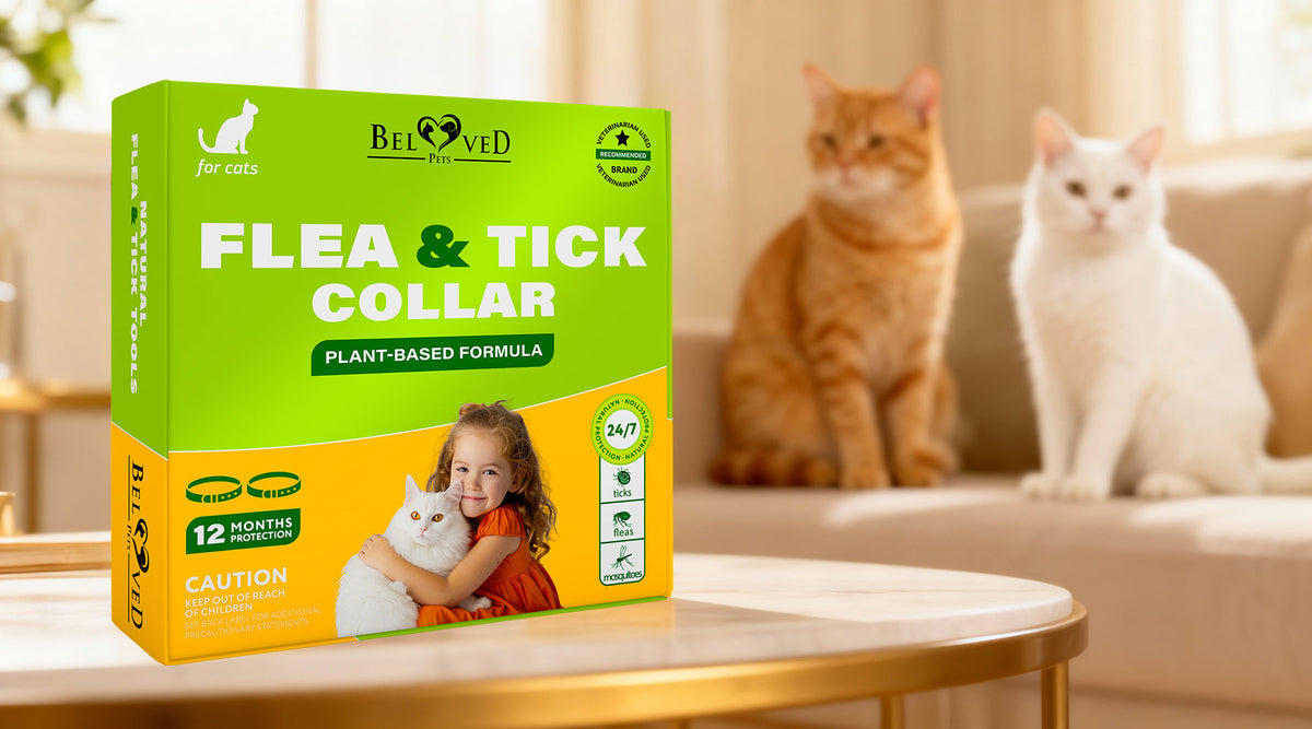 Stop Fleas Before They Bite — Fast-Acting Natural Flea & Tick Collar for Cats