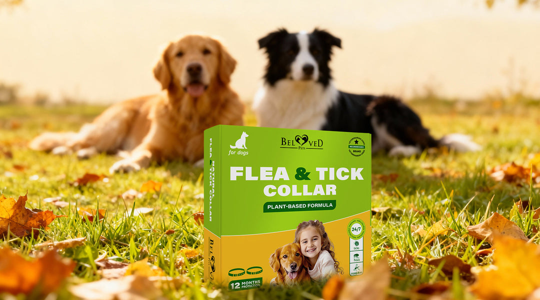 Safe for Every Dog — Gentle Flea & Tick Protection for Sensitive Pets