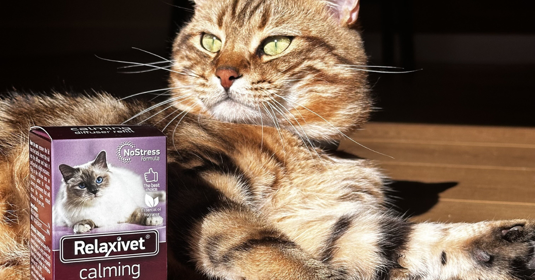 Keep the Peace: Why You Need to Replenish Your Pheromones