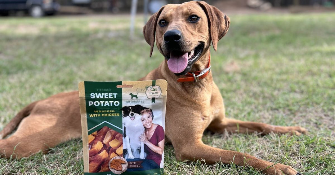 Sweet Potato & Chicken Wraps – Nutritious and Tasty Chew Treats