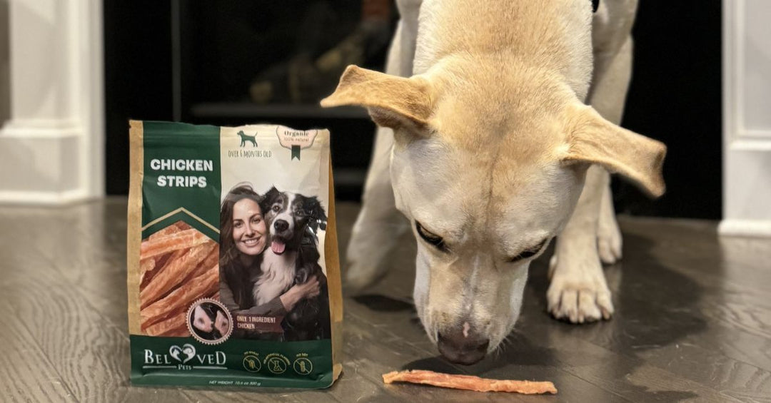 Train, Treat, and Delight Your Dog with Tasty Chicken Jerky Strips