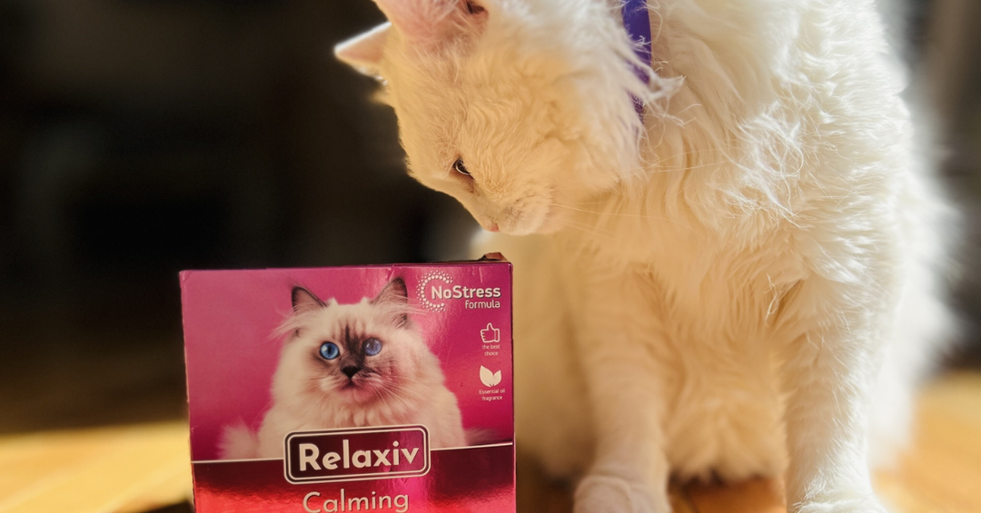 Say Goodbye to Scratching and Spraying