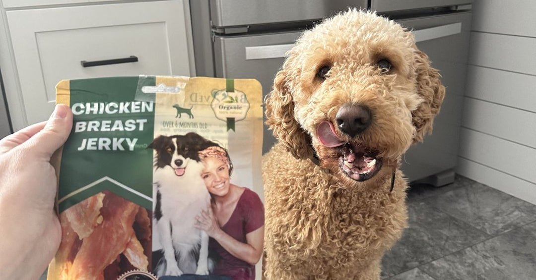 Safe, Natural Chicken Jerky Strips Your Dog Will Love