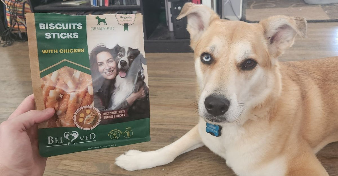 A Smart Treat Choice for Multi-Dog Homes