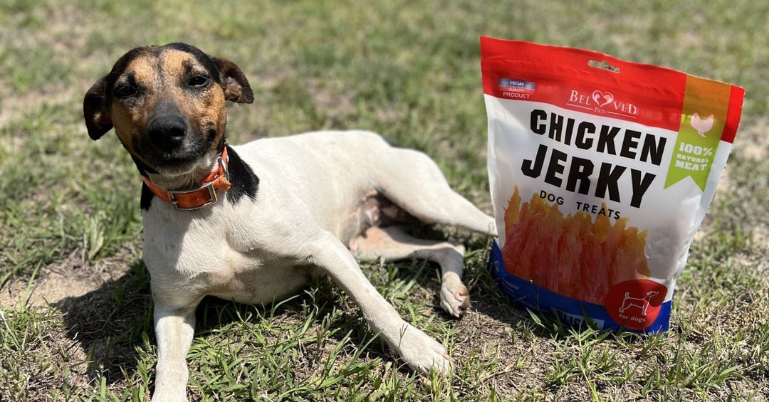 Turning Everyday Moments Into Meaningful Rewards With Chicken Jerky