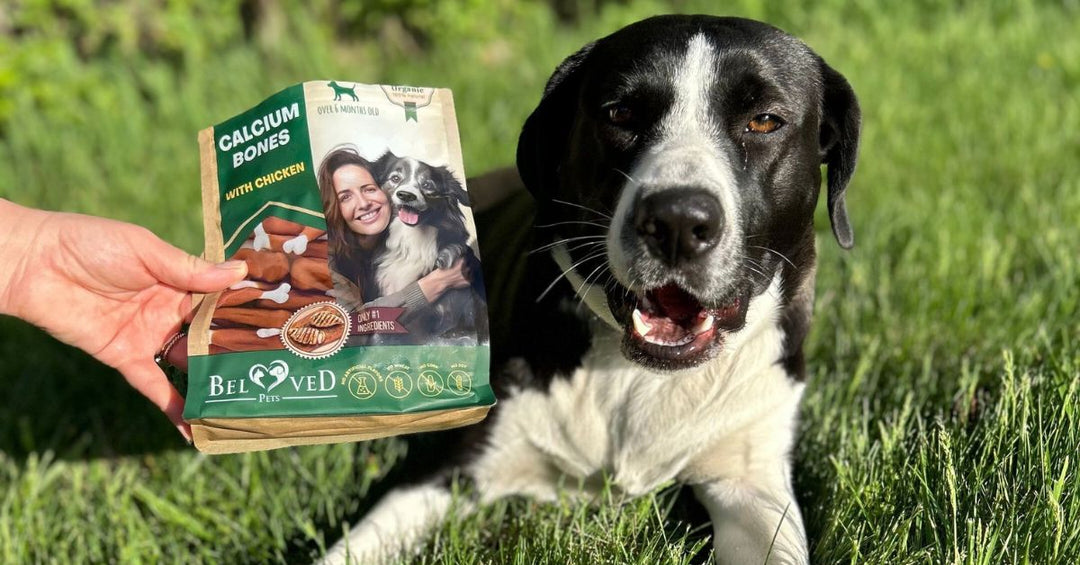 A Mess-Free Treat for Indoor Use