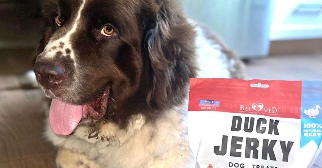 Duck Jerky Dog Treats: A Protein-Rich Alternative for Sensitive Dogs