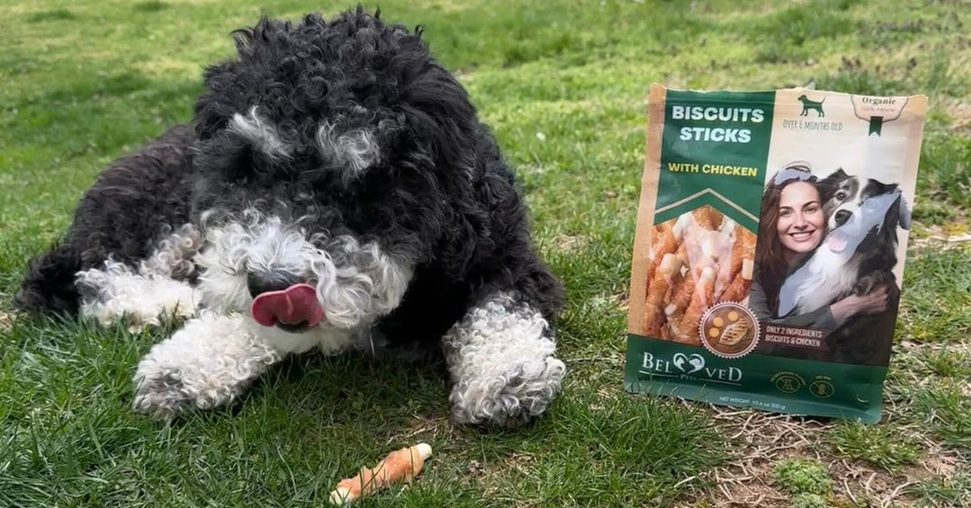 Biscuit Sticks as a Daily Routine Treat