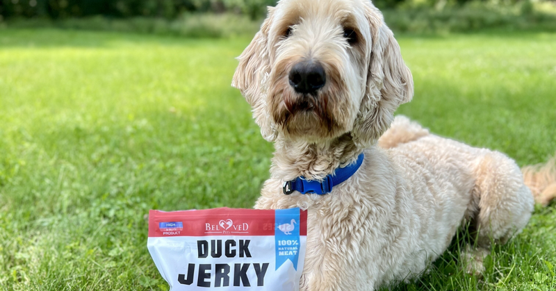 Grain-Free Duck Jerky Treats Dogs Can’t Resist