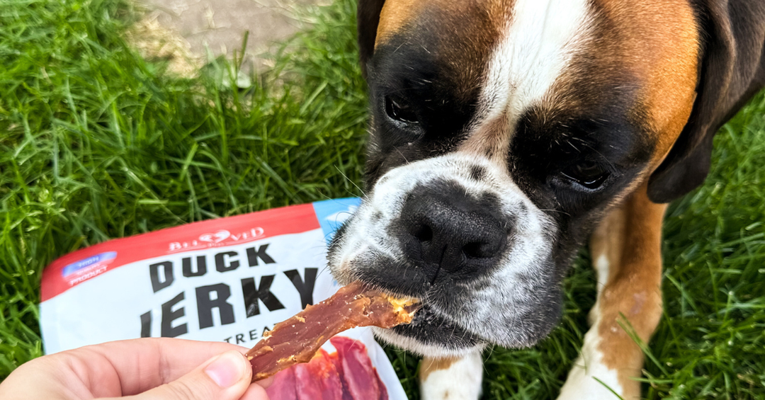 High-Protein Duck Jerky Treats for Training and Daily Rewards