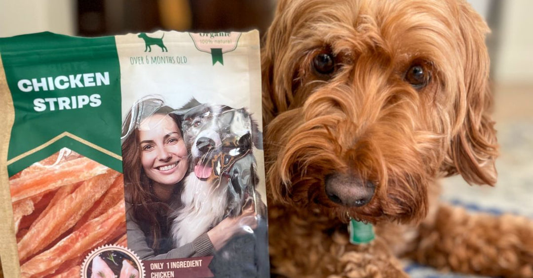 Chicken Jerky Strips – Healthy, High-Protein Treats for Dogs