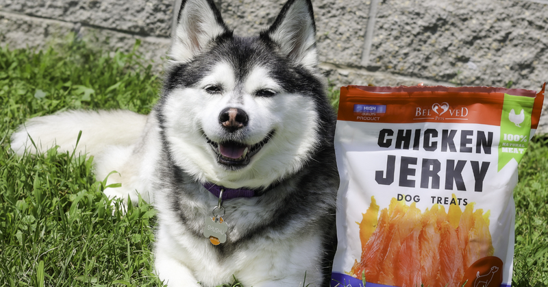 Why High-Protein Chicken Jerky Supports Active Dogs
