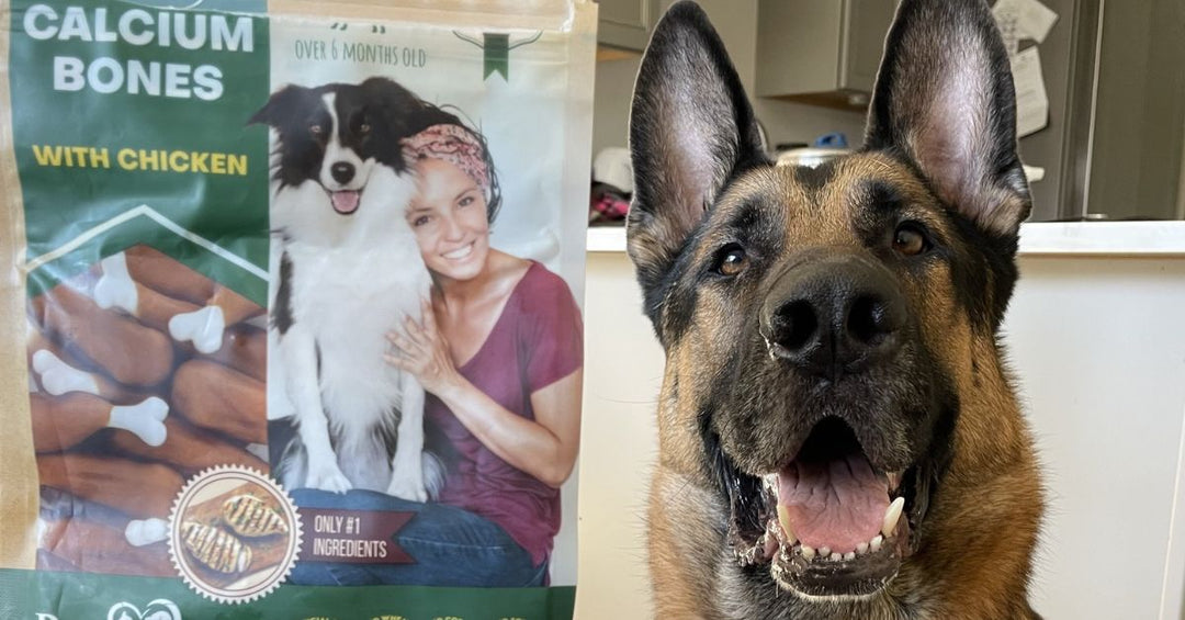 Supporting Active Dogs with Structured Chews