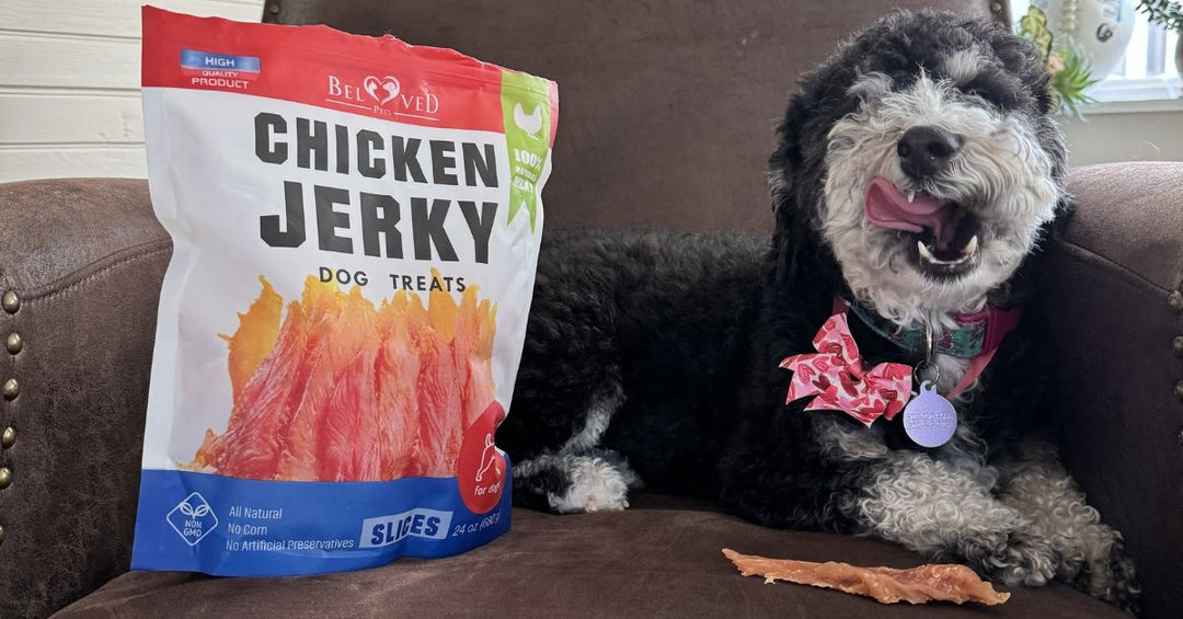 Why Chicken Jerky Is a High-Protein Treat Dogs Truly Love