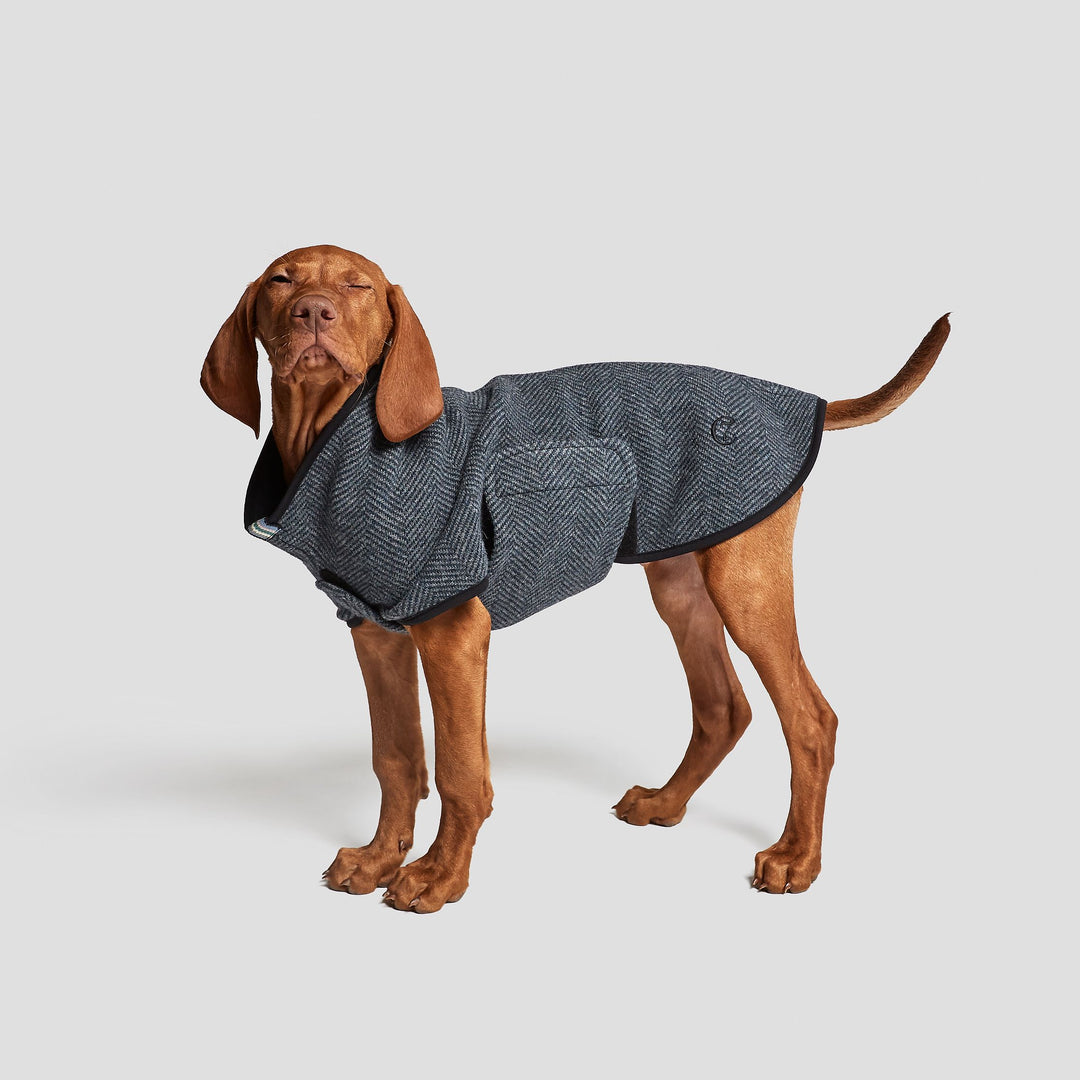 Your doggy don't want wear a coat? We will train how can you do it!