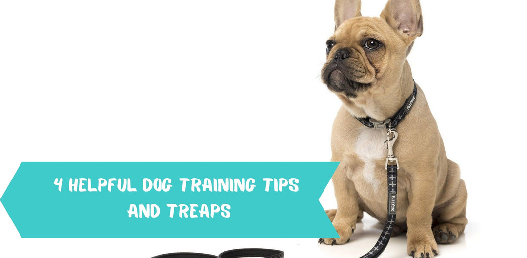 4 HELPFUL DOG TRAINING TIPS AND TREAPS