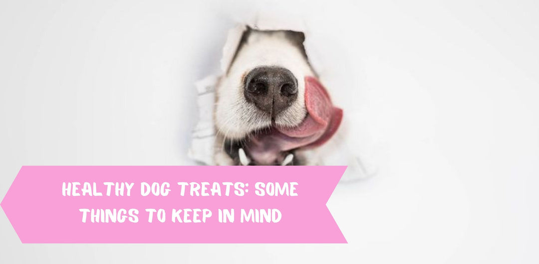 Healthy Dog Treats: Some Things to Keep in Mind