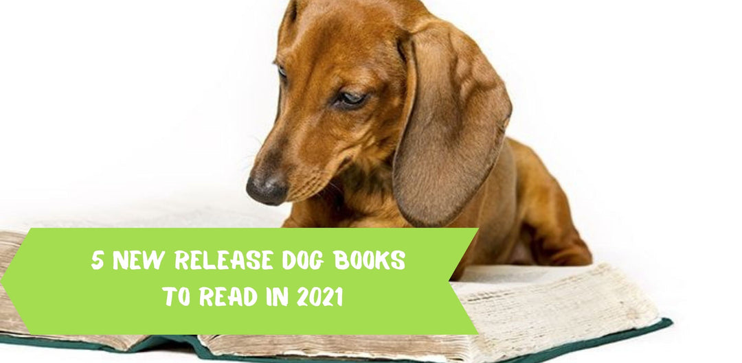 5 New Release Dog Books to Read in 2021