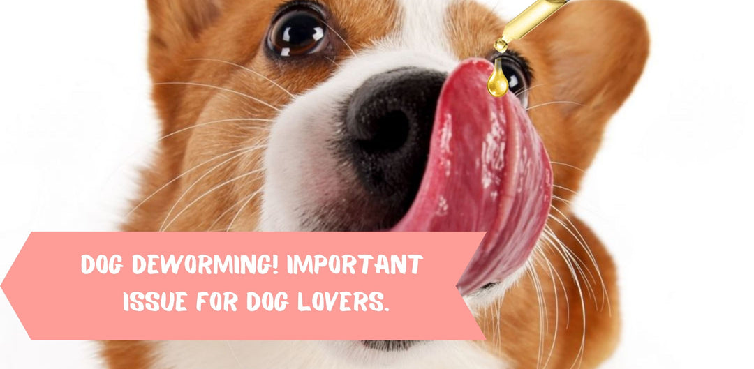 Dog Deworming! Important issue for dog lovers.