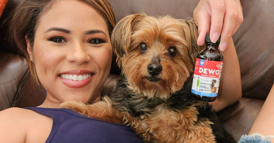 Using DEWO for Pets with Allergies or Sensitivities: What Owners Should Know