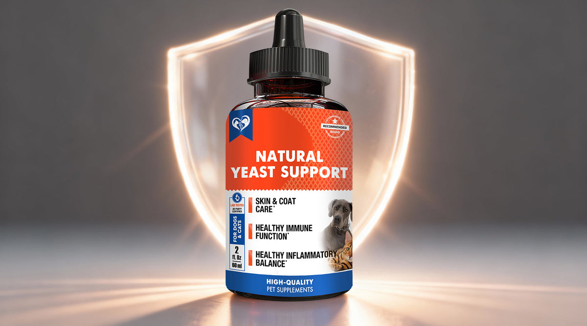 Say Goodbye to Itching: Natural Yeast Infection Relief for Happy, Comfortable Pets