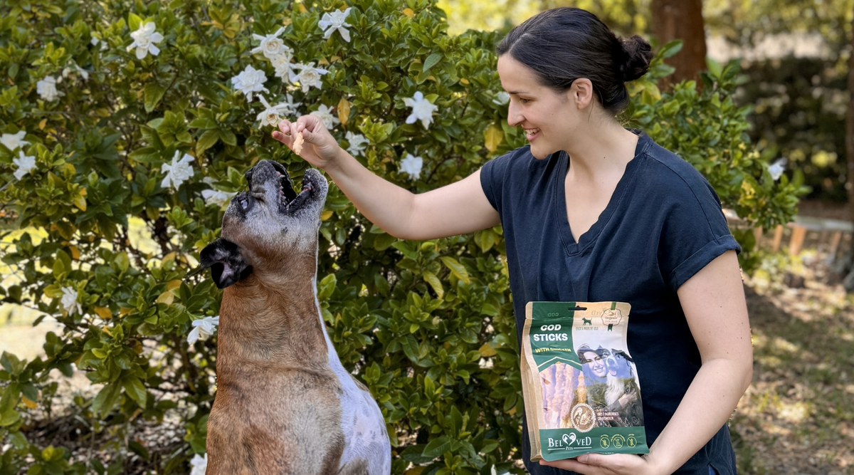 From the Sea to Your Pet’s Bowl: The Health Benefits of Cod Sticks