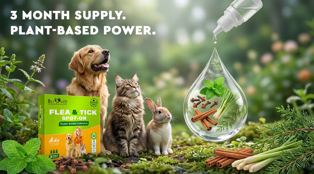 Dog, cat and rabbit beside a Beloved Pets plant-based Flea & Tick Spot-On pack with a botanical drop of natural ingredients — 3 month supply, plant-based power