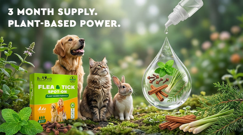 Dog, cat and rabbit beside a Beloved Pets plant-based Flea & Tick Spot-On pack with a botanical drop of natural ingredients — 3 month supply, plant-based power