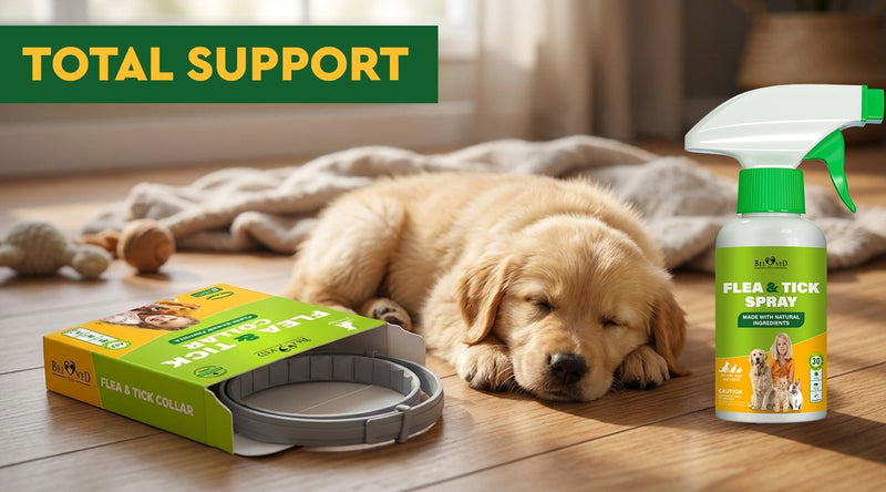 Beloved Pets Flea and Tick Collar and Spray bottle with sleeping golden retriever puppy — total flea protection for pets