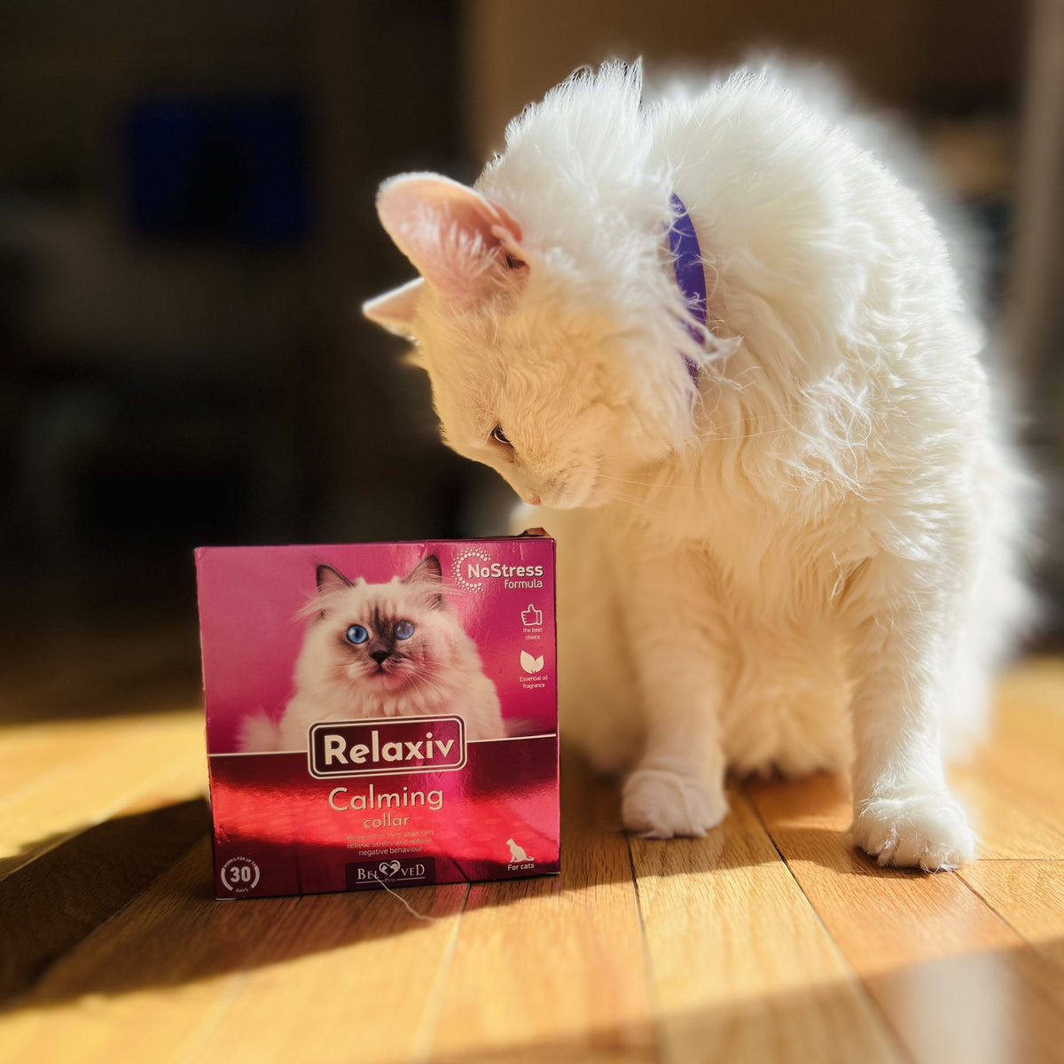 Pheromone based Cat Calming Collar