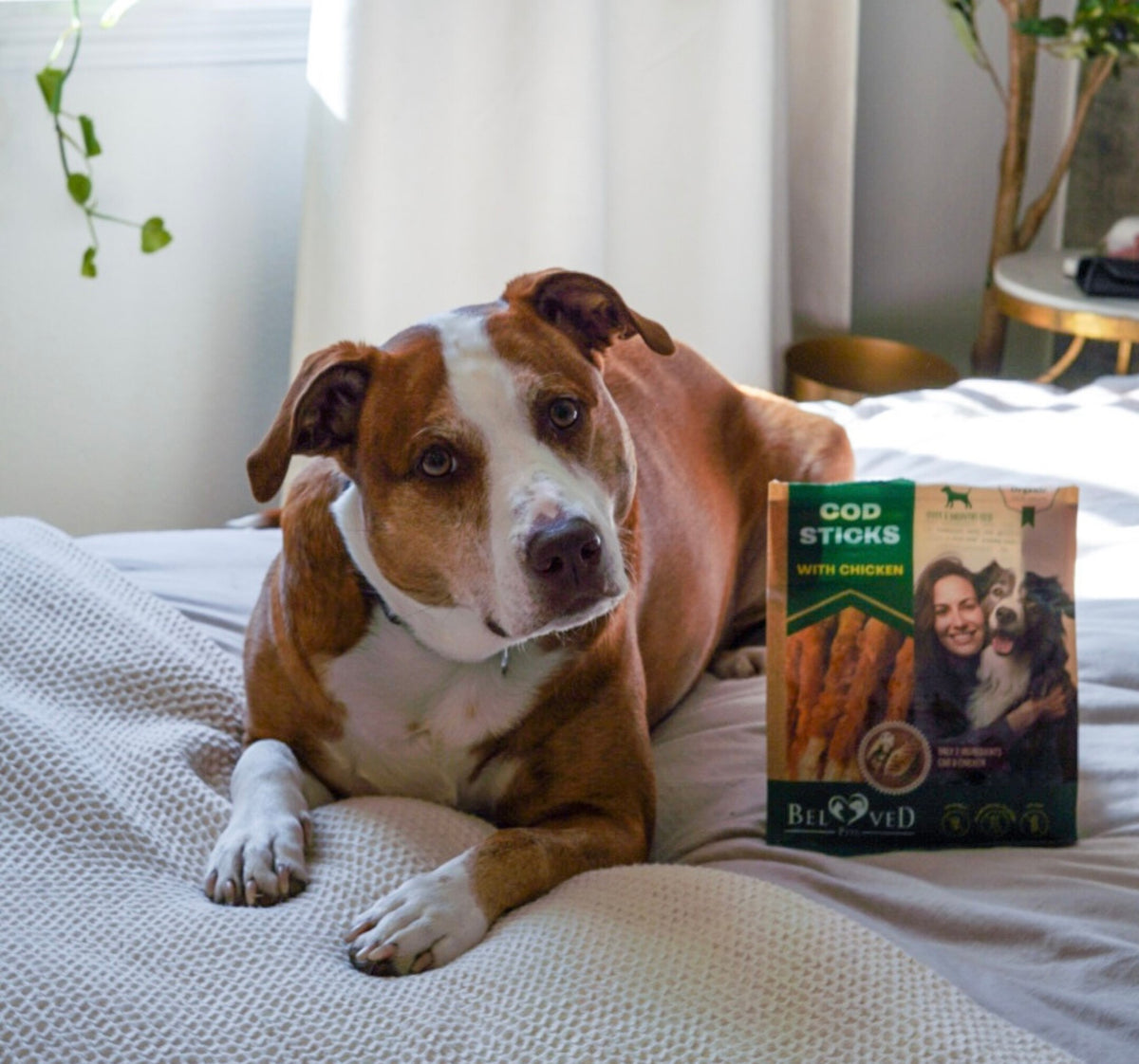Discover Our New Cod Sticks Dog Treats!