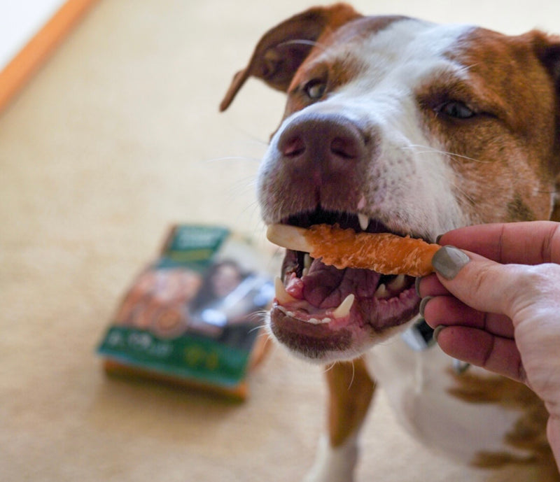 Enhance Your Dog's Dental Health with Rawhide Sticks
