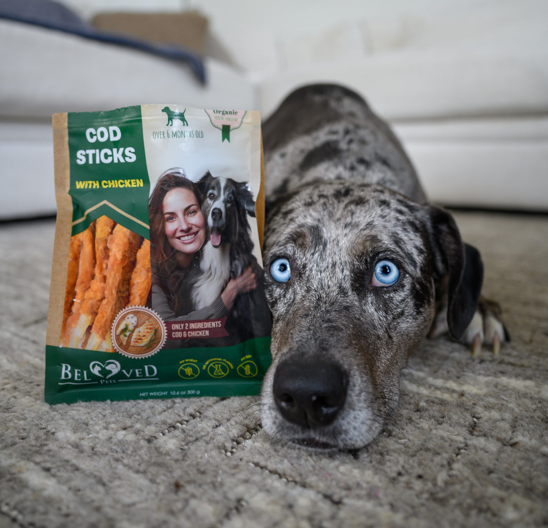 Enhance Your Pet's Dental Health with Beloved Pets Brand Cod Sticks