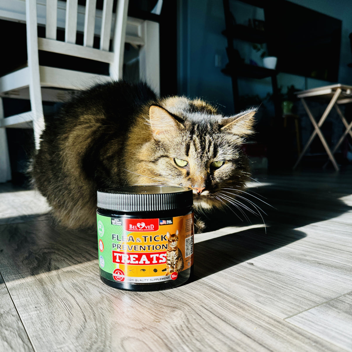 How to Choose the Best Flea and Tick Chew for Your Pet