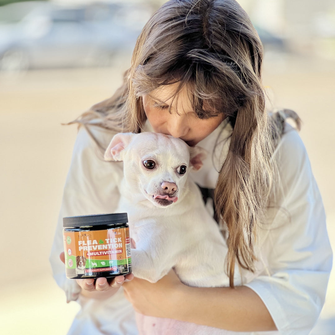 Top 5 Signs Your Pet Needs Flea and Tick Treats and Multivitamins