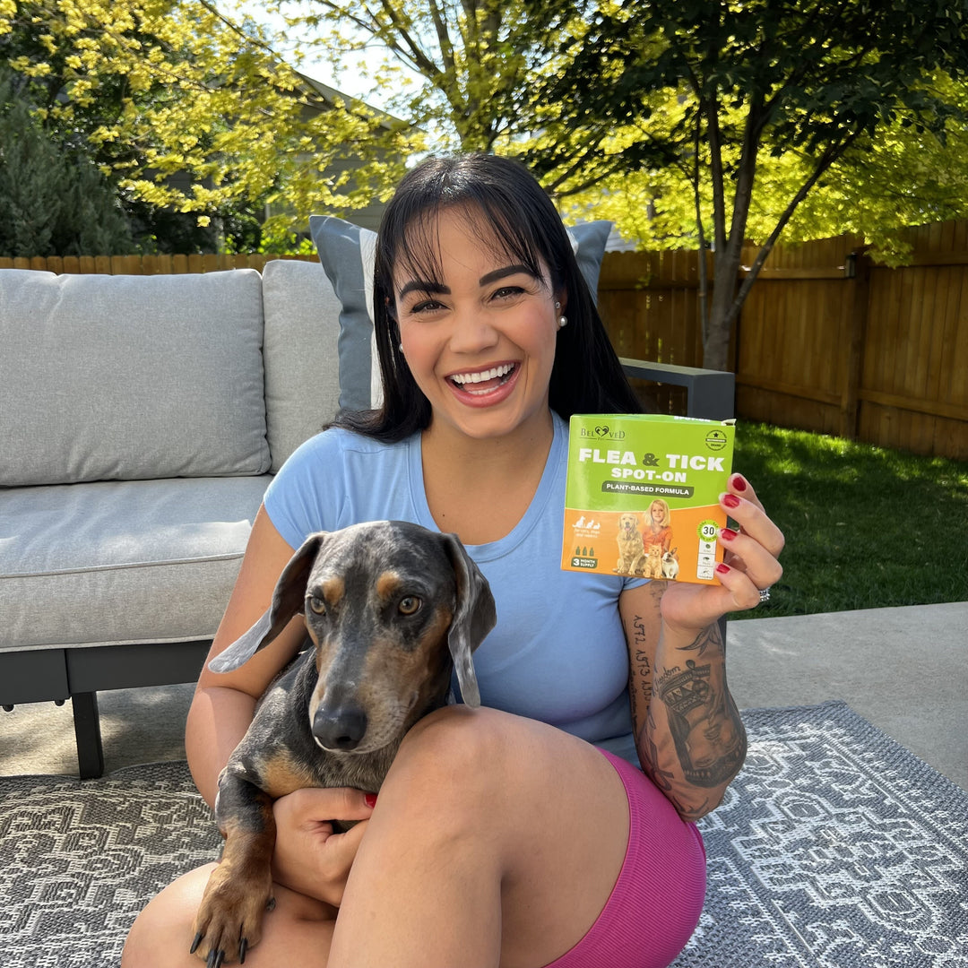 GreenFort NEO Spot-On: Fast, Safe, and Natural Flea and Tick Control for Pets