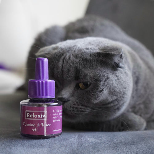 Ultimate Guide to Beloved Pets Calming Refill for Cats: Naturally Reduce Stress and Anxiety