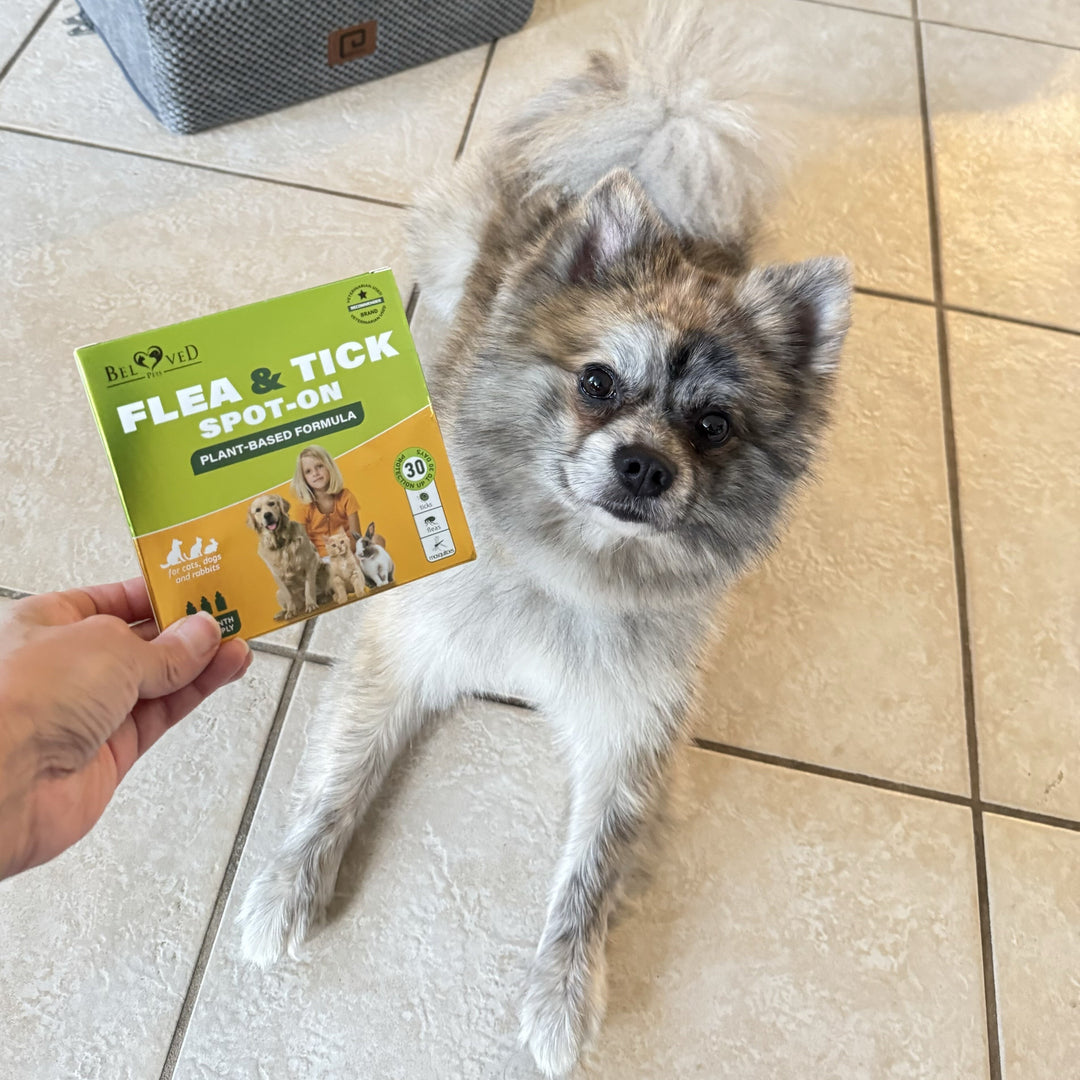 Protect Your Pet with Beloved Pets Flea & Tick Spot-On Drops 🐾