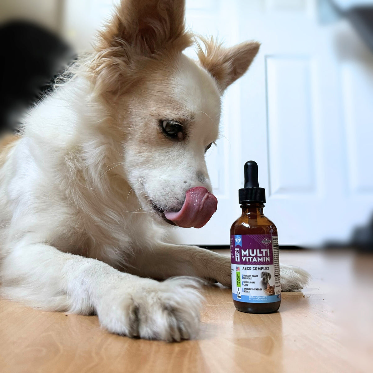 The Power of Liquid Multivitamins for Pets: Key Vitamins for Your Furry Friend's Health