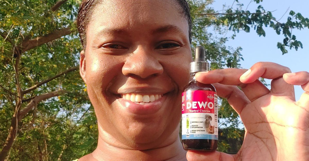 Stronger Digestion Starts Here: Liquid Daily Support for Pets of All Ages & Sizes