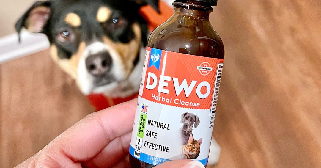 How to Use DEWO Safely and Effectively: Dosing, Daily Use & Vet Guidelines