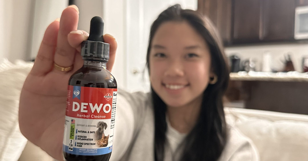 A Natural Approach to Preventive Digestive Care for Pets