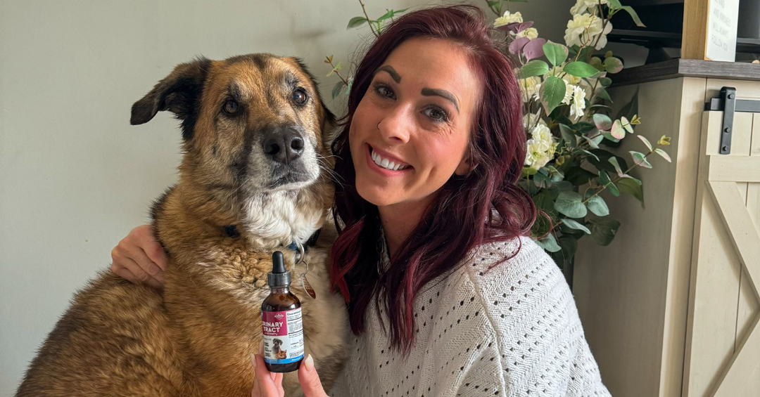 The Role of Intestinal Wellness in Your Pet’s Overall Health