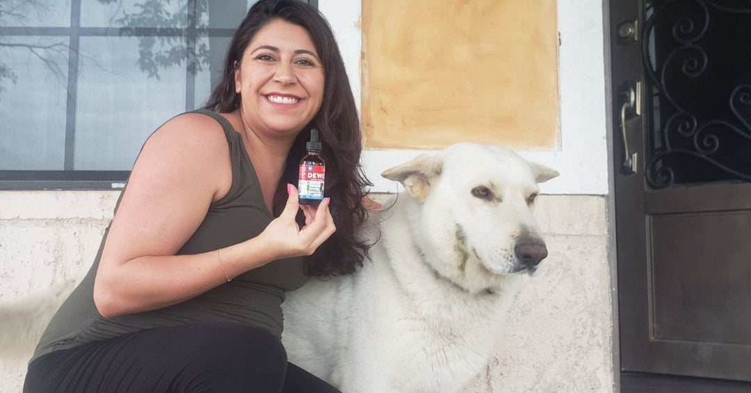 How Weight-Based Dosing Helps Personalize Pet Wellness