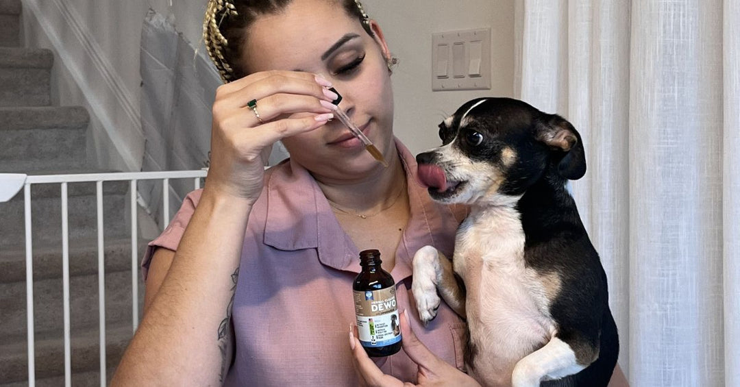 Herbal Cleanse + Probiotics: The Dual-Action Formula for a Balanced, Resilient Gut