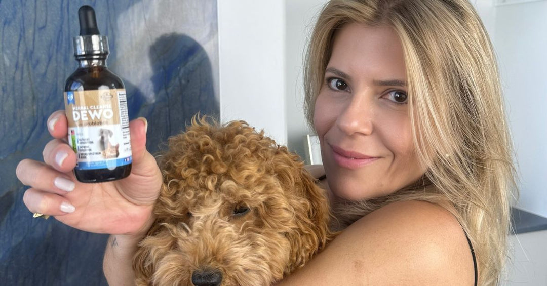 How Long Should Your Pet Take DEWO with Probiotics?