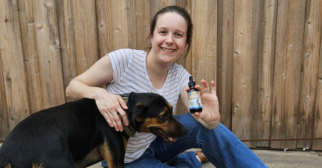 Daily Digestive Support as Part of Preventive Pet Care