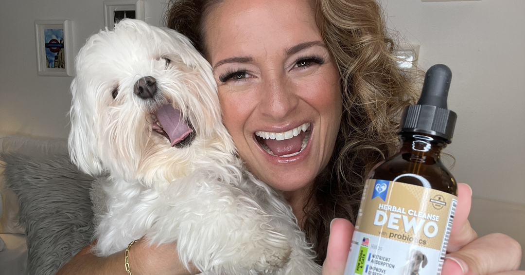 Building a Sustainable Wellness Plan with Probiotic Support